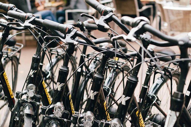 City Bike Rental with Phone Holder and Self Guided Tour - The Review Insights: What Travelers Say