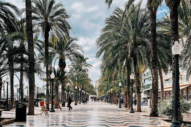 City Bike Tour in Alicante - Introduction