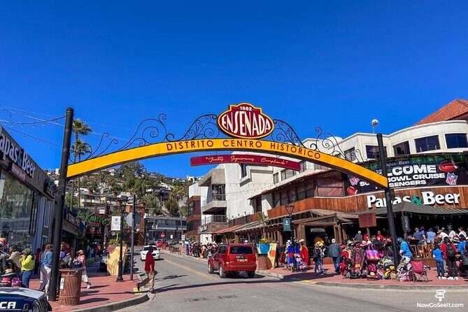 City Carriage Tours and Horseback Riding on the Beach - What to Expect from the Experience