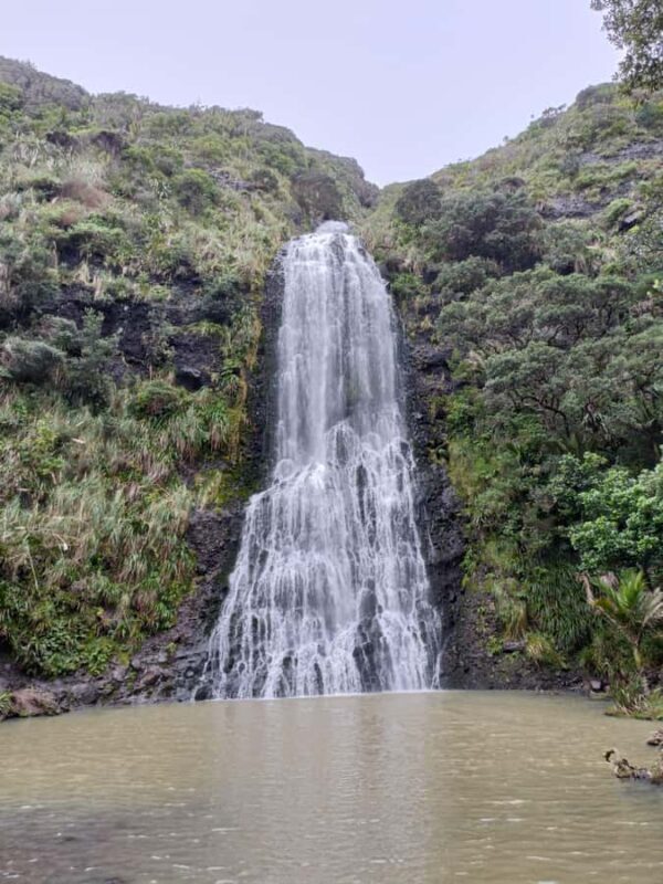 City & Coast & Country  A Relaxed Day Tour from Auckland - Transportation and Group Size