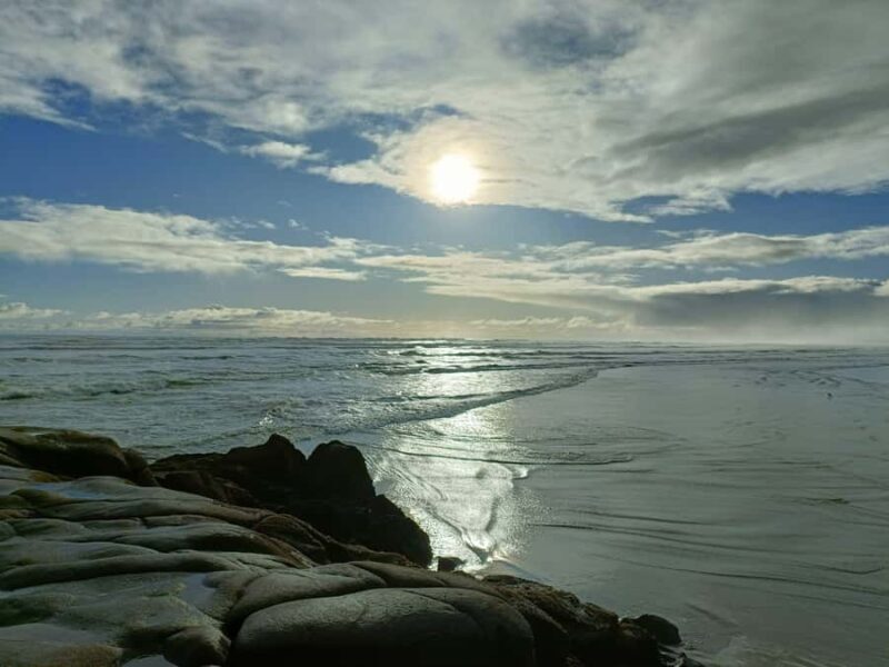 City & Coast & Country  A Relaxed Day Tour from Auckland - FAQs