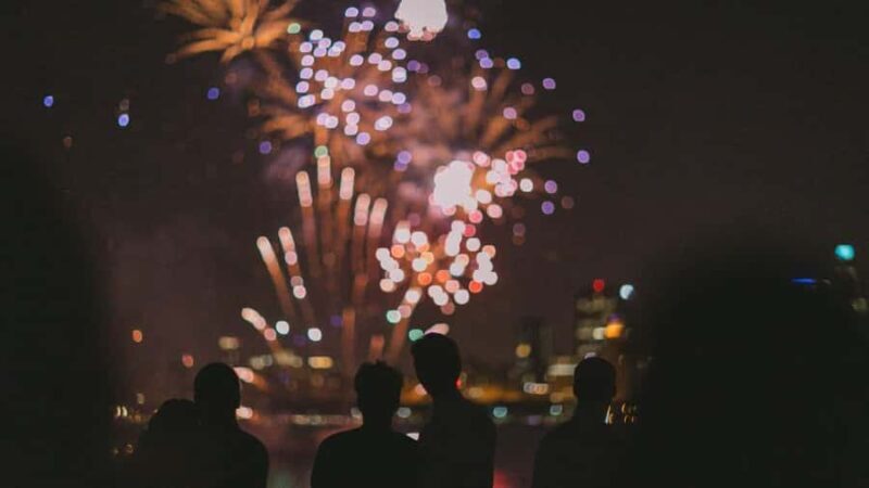 City Cruises Chicago: Seadog Speedboat Lake Firework Cruise - An In-Depth Look at the Experience