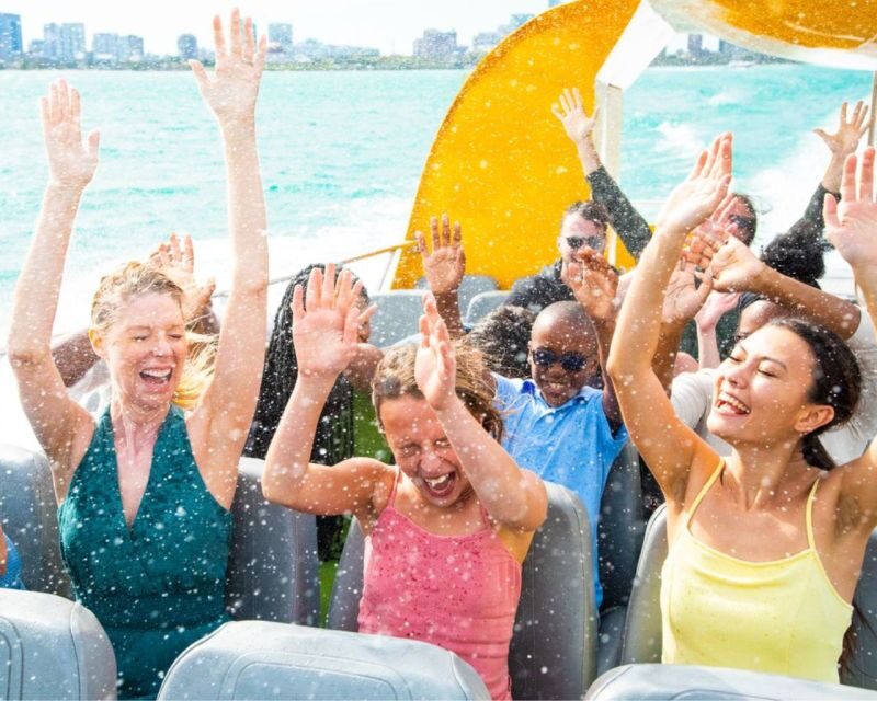 City Cruises Chicago: Seadog Speedboat Lake Firework Cruise - The Views: Skyline and Fireworks in All Their Glory