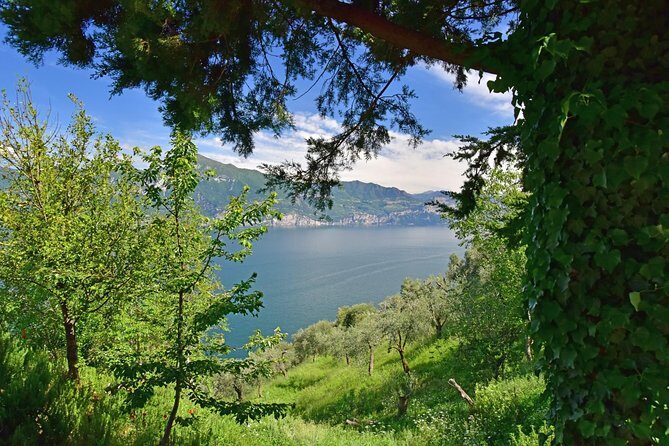 City Escape: Lake Garda Private Day Trip from Verona - Who Is This Tour Best For?
