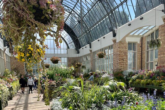 City Express - An In-Depth Look at the Auckland City Express Tour