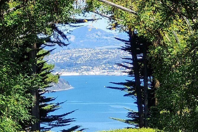 City Highlights, Larnach Castle & Peninsula Views - An Authentic Look at the Itinerary