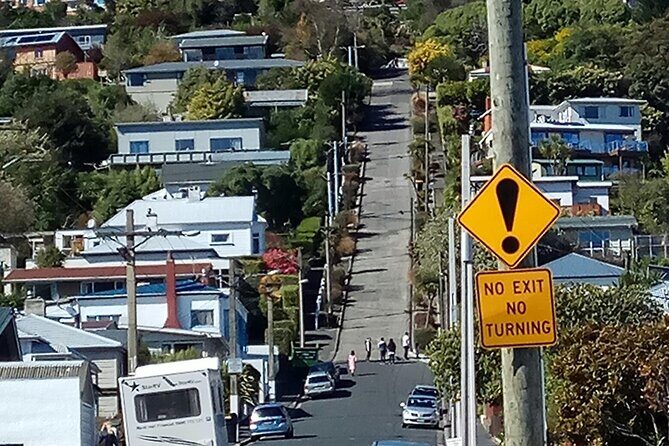 City Highlights, Larnach Castle & Peninsula Views - Final Thoughts: Who Should Book This Tour?