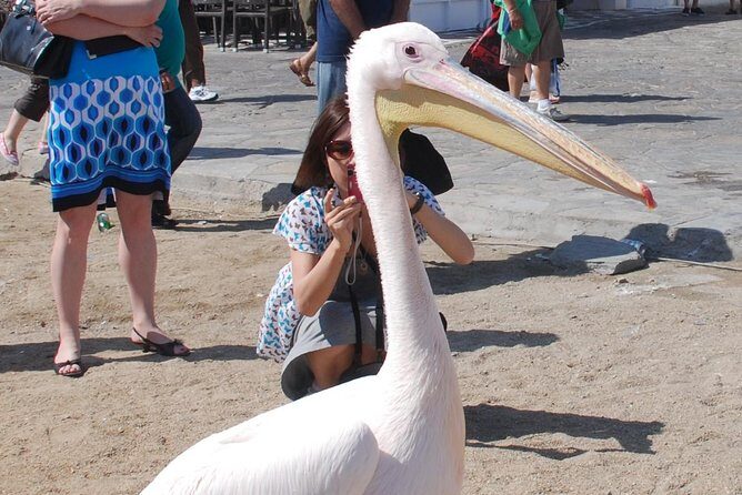 City & Island Tour - What You Can Expect from the Itinerary