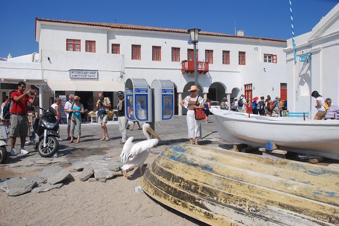 City & Island Tour - FAQ