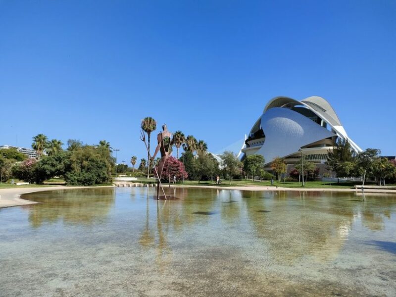 City of Arts and Sciences Private Bike tour - Who This Tour Is Best For
