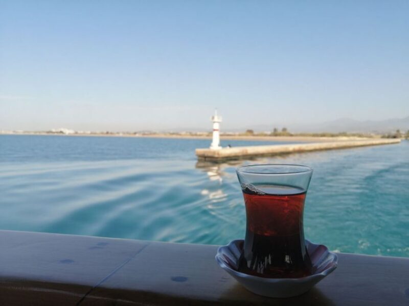 City of Side: Dolphin Island Boat Tour w/ Lunch & Drinks - Who Would Enjoy This Tour?