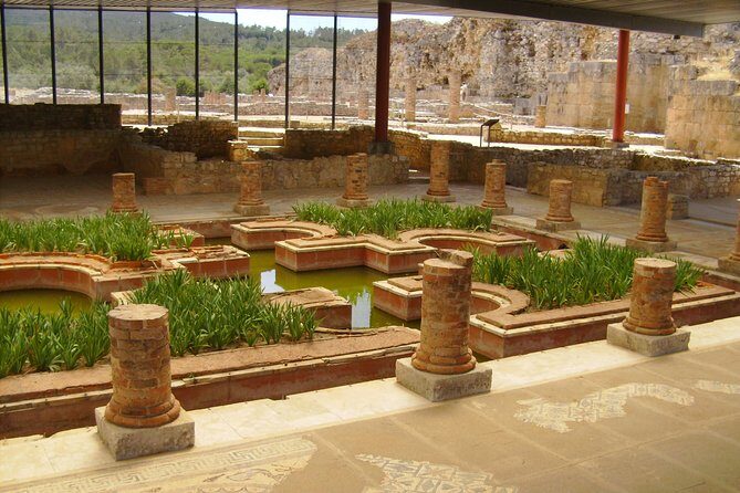 City of Students - Coimbra Private Tour from Lisbon - Discovering Coimbra: A City of Contrasts and Charm