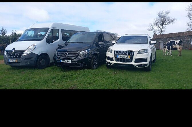 City Ponta Delgada, Airport Transfers. Shuttles. Taxi. Minibus - What To Expect from This Transfer Service