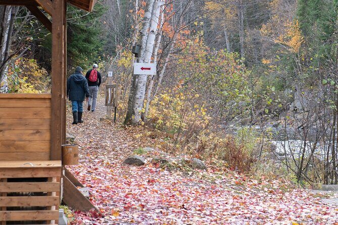 City tour and hiking to the Canyon and Waterfall in the Park - The Sum Up: Who Should Book This Tour?