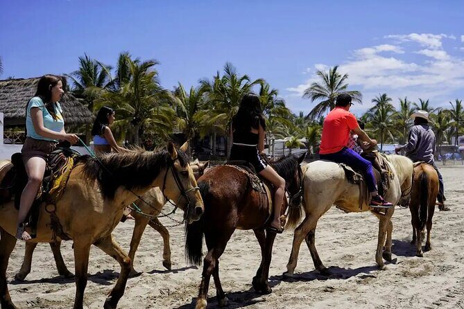 City Tour & Beach Day All Inclusive W Horse Ride & Water Sports - The Practicalities & Value Analysis