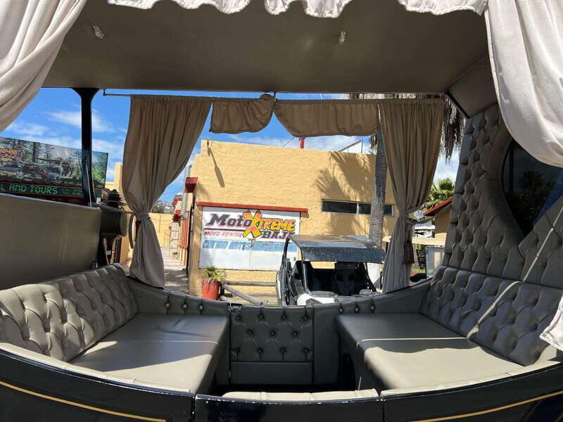 City tour on electric horse wagon. - The Pros and Cons