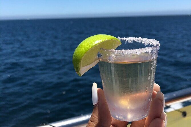 City Tour, Tequila tasting, Sunset Cruise & Dinner in Cabo San Lucas - Authentic insights from reviews