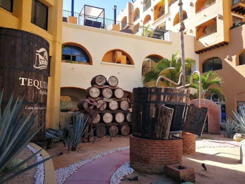 City Tour to Cabo San Lucas and Transparent boat to the Arch - An In-Depth Look at the Cabo San Lucas City Tour and Clearboat Experience