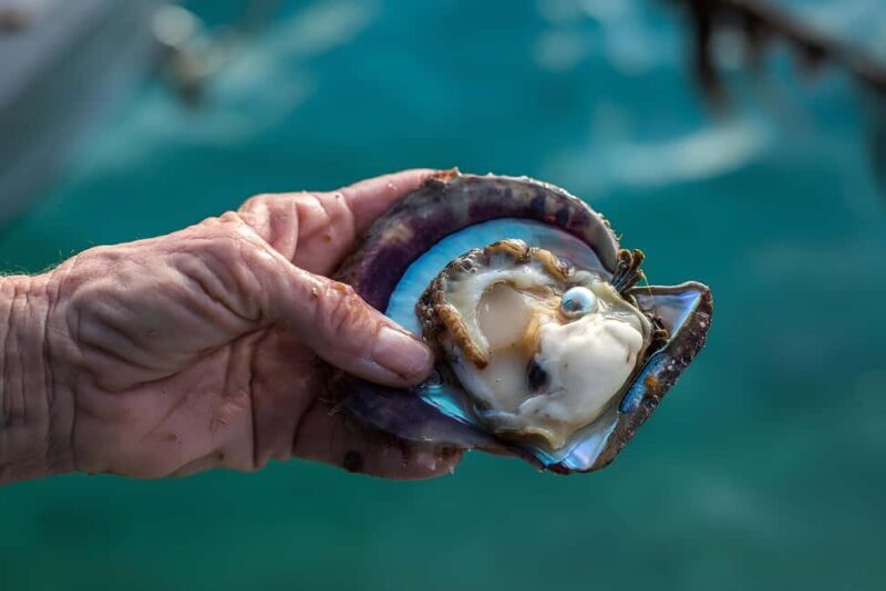 City Tour to Cabo San Lucas and Transparent boat to the Arch - Considerations and Tips