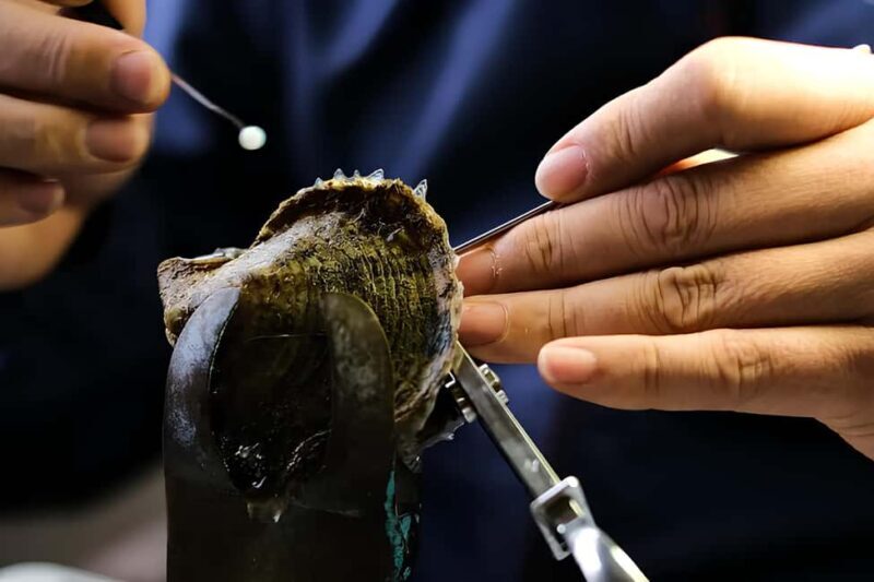 City Tour to Cabo San Lucas and Transparent boat to the Arch - FAQ