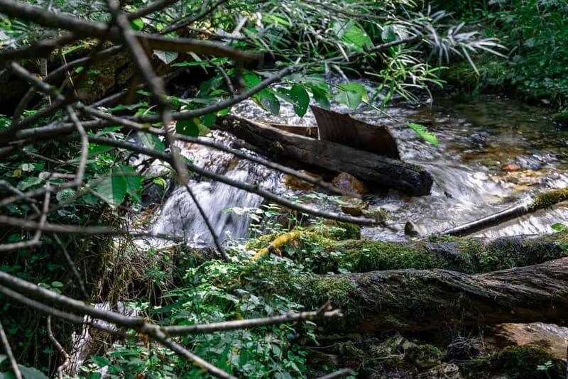 City Trip Struga and Vevchani from Ohrid and Struga - Who Would Love This Tour?