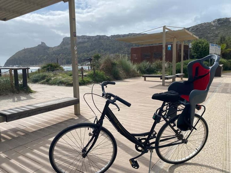 CITYBIKE/ easy Classic FOR 24 hours with Free delivery! - Price and Value Analysis