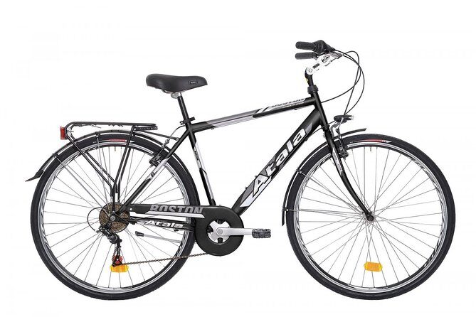 CityBike Rental in Palermo - What’s Included in the Rental?