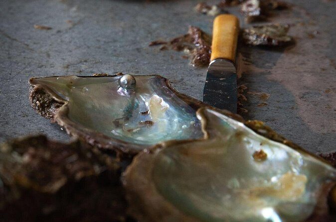 CityTour in Cabo San Lucas and Transparent Boat Tour to the Arch - FAQs