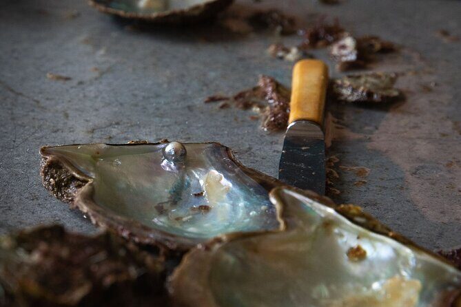 CityTour to San Jose, Cabo San Lucas and Arch Tour in Clearboat - A Closer Look at the Itinerary: What to Expect