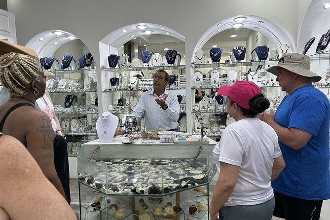 CityTour to San Jose, Cabo San Lucas and Arch Tour in Clearboat - What Past Travelers Say