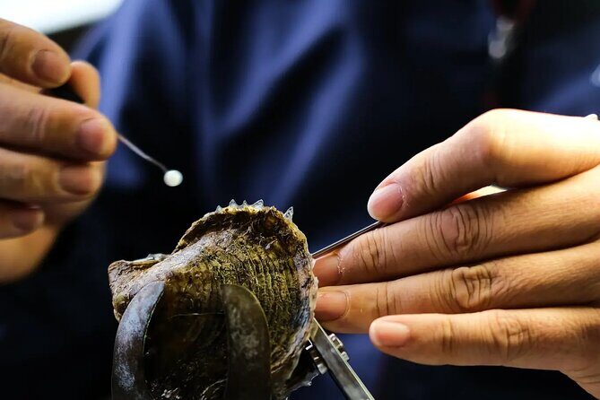 CityTour to San Jose, Cabo San Lucas and Arch Tour in Clearboat - Frequently Asked Questions (FAQs)