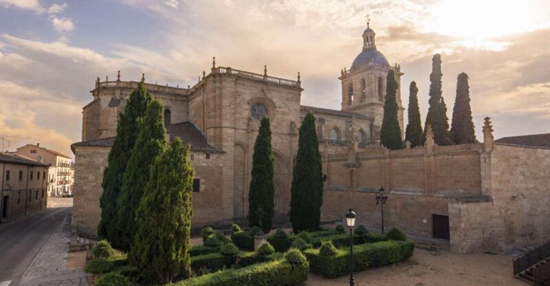 Ciudad Rodrigo: Cathedral of Santa Maria Entry Ticket - Interior: From Gothic Vaults to Majestic Choirs