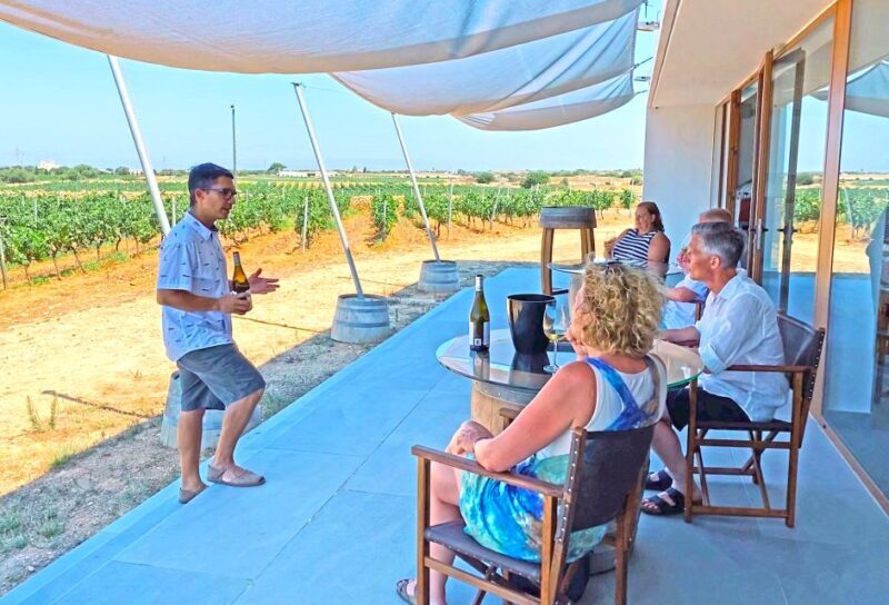 Ciutadella de Menorca: Family Winery Tour with Wine Tasting - Practical Tips for Visitors