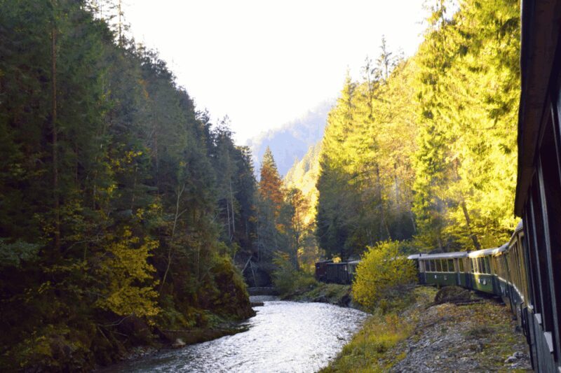 CJ03 - Day trip to Maramures Mocanita Train from Cluj Napoca - Key Points