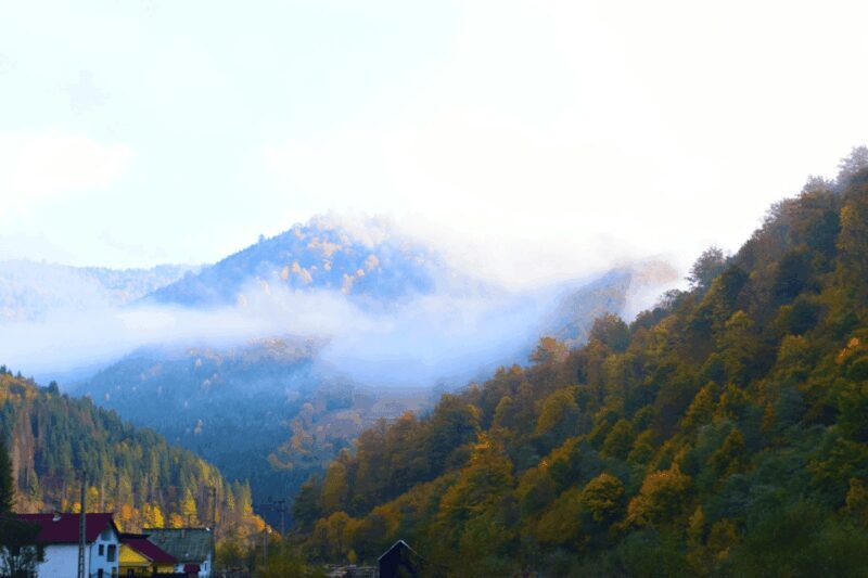 CJ03 - Day trip to Maramures Mocanita Train from Cluj Napoca - FAQ