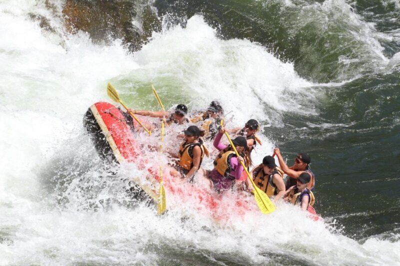Clark Fork River Full Day Whitewater Rafting Trip - The Sum Up