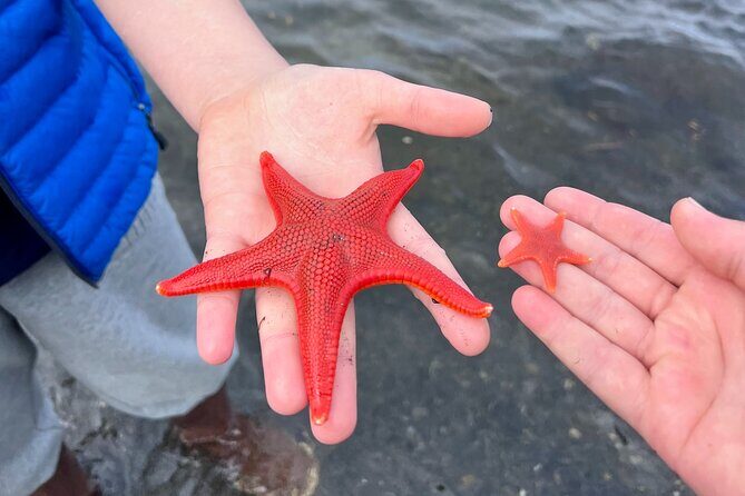 Clarke's Custom Island Tour (up to 11 guests) - Considerations and Practical Tips