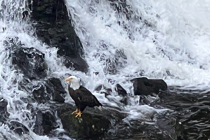 Clarke's Custom Island Tour (up to 11 guests) - The Sum Up