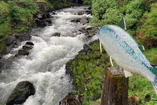 Clarke's Custom Island Tour (up to 11 guests) - FAQ: Your Questions Answered