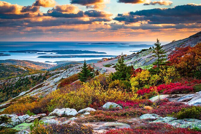 Classic Acadia Private Tour: Cadillac Mountain & Thunder Hole - The Experience of the Guide
