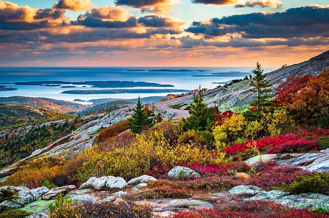 Classic Acadia Private Tour: Cadillac Mountain & Thunder Hole - Final Thoughts: Who Will Love This Tour?