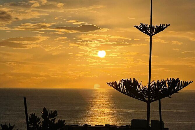 Classic car / Half day tour / Day tour / Private Tour Madeira - Exploring the Tour Itinerary: What to Expect