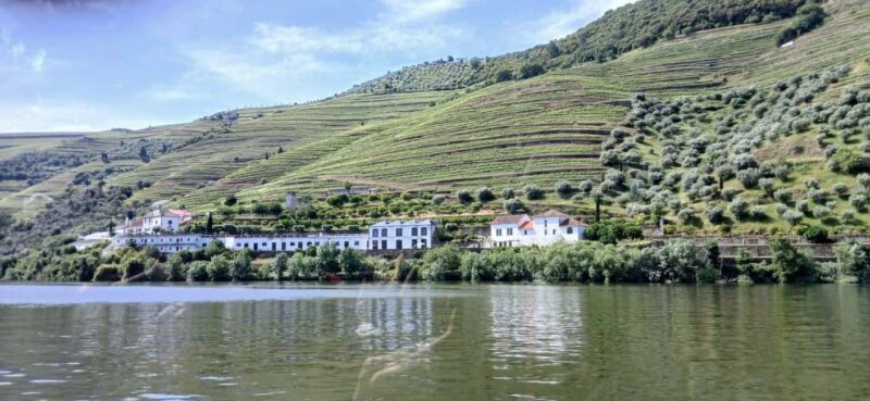 Classic Douro Tour: River, Train, Wine & Private Guide - Key Points