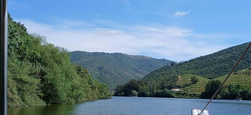 Classic Douro Tour: River, Train, Wine & Private Guide - Final Thoughts