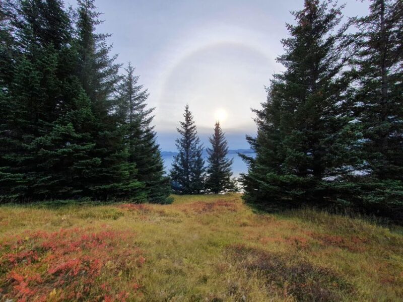 Classic Golden Circle - Full Day Private Tour from Reykjavik - The value of this private tour