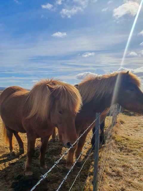 Classic Golden Circle - Full Day Private Tour from Reykjavik - Who is this tour best suited for?