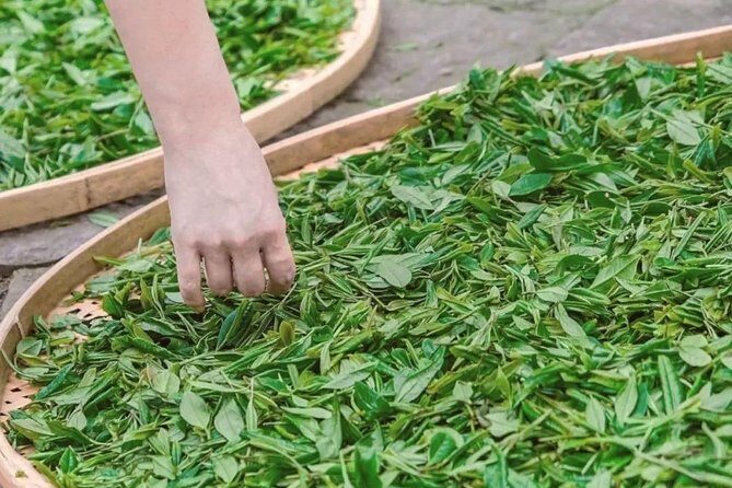 Classic Hangzhou Day Tour Plus Tea Plantation Exploration - Exploring the Itinerary in Detail
