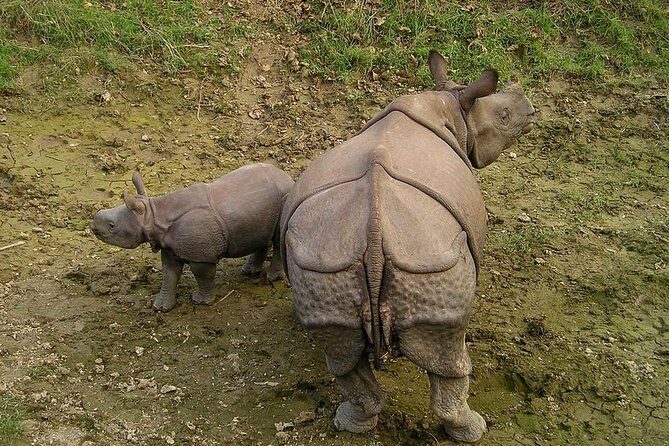 Classic Nepal Tour - Who Is This Tour Best For?