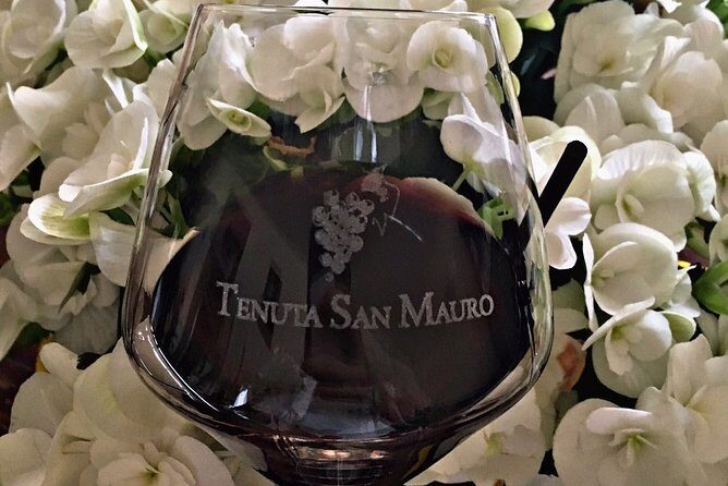 Classic Private Wine Tasting in Castagnole delle Lanze - The Vineyard and Cellar Visits