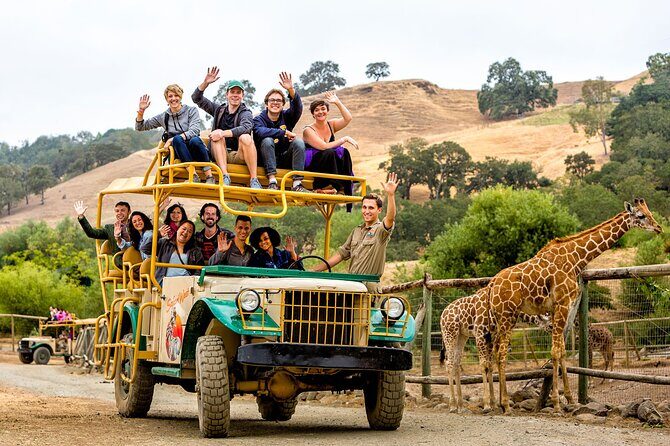 Classic Safari Adventure at Safari West - Why This Safari Is a Great Choice